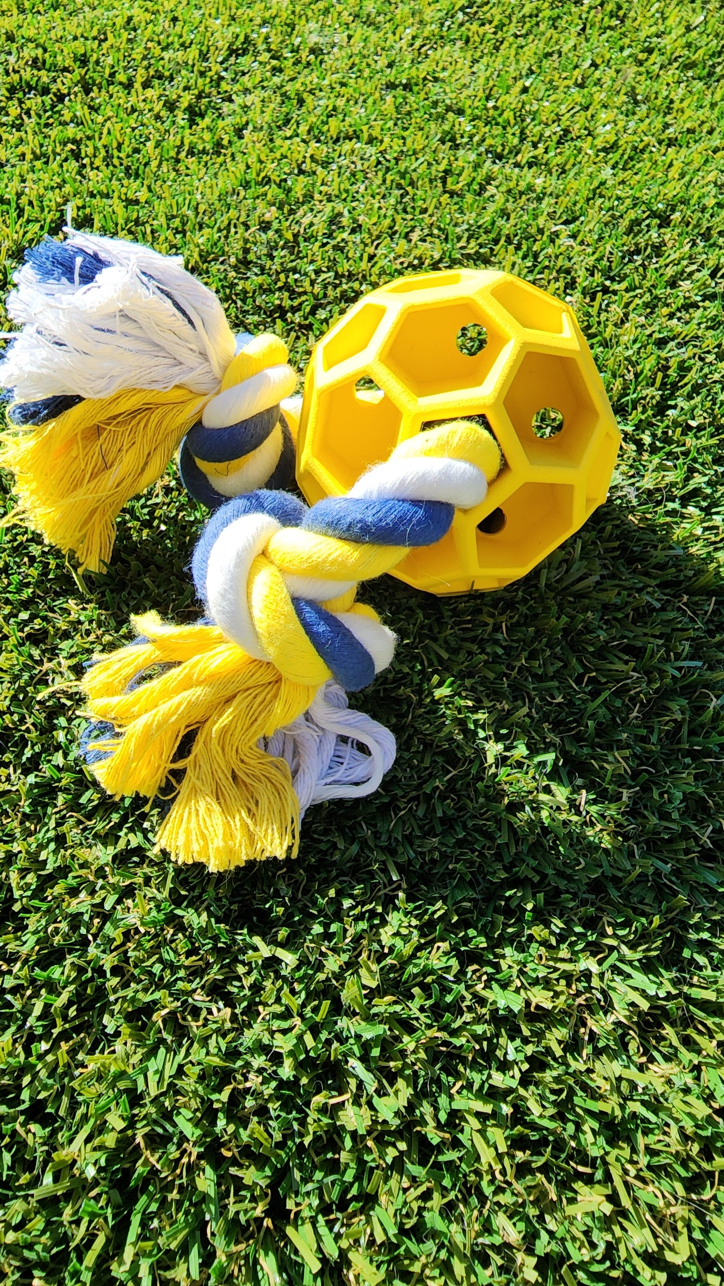 Interactive Rubber Soccer Ball Chew Toy